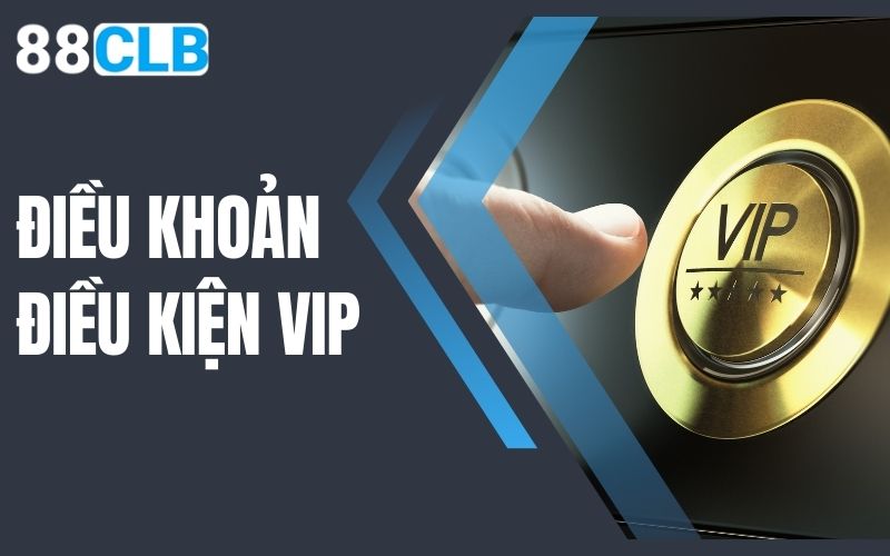 điều khoản điều kiện vip